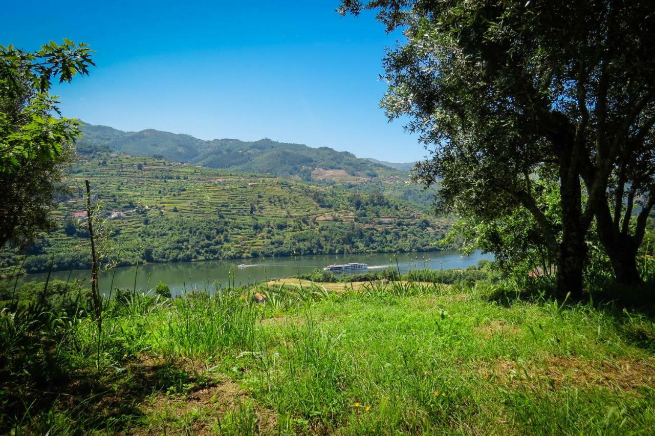 Casa Da Mouta - Douro Valley Baião Eksteriør billede