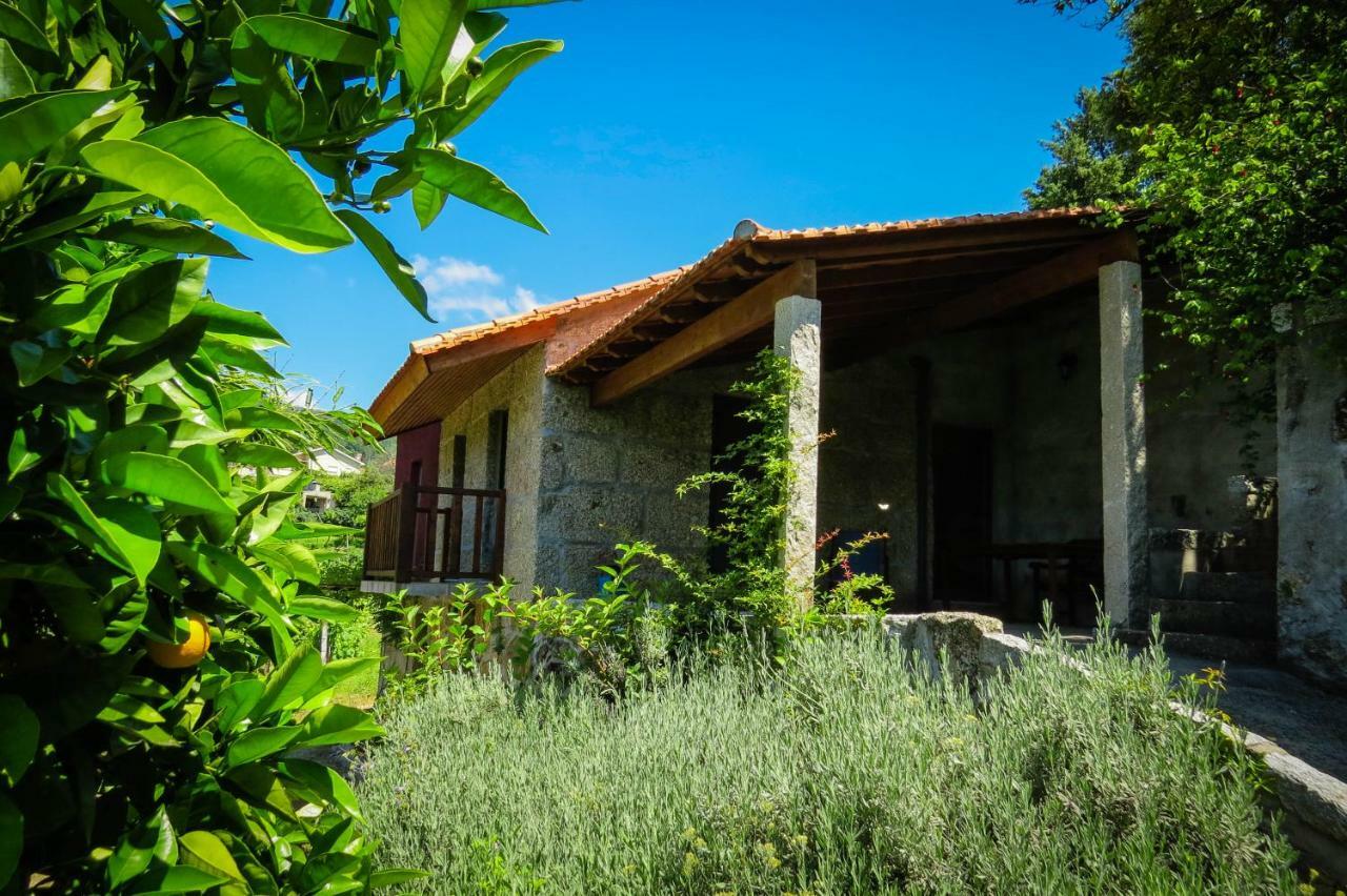 Casa Da Mouta - Douro Valley Baião Eksteriør billede