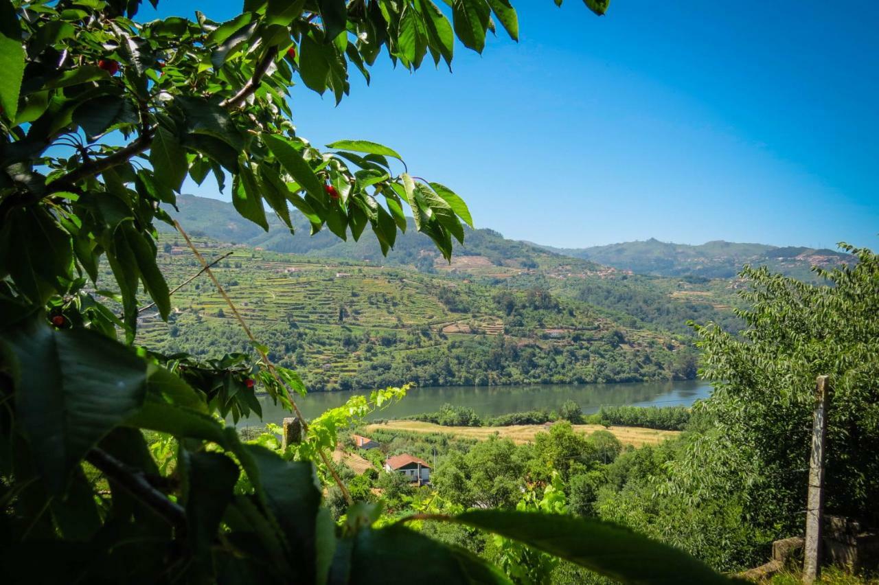 Casa Da Mouta - Douro Valley Baião Eksteriør billede