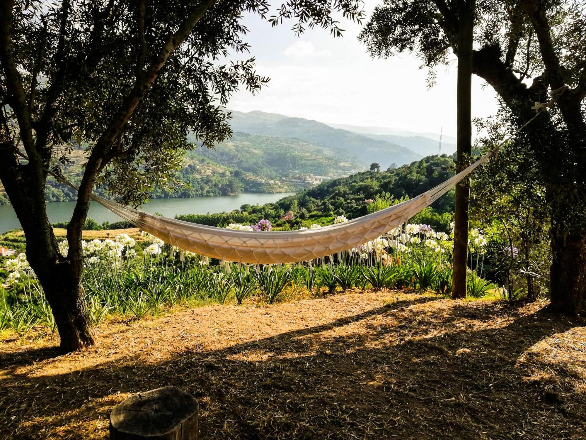 Casa Da Mouta - Douro Valley Baião Eksteriør billede
