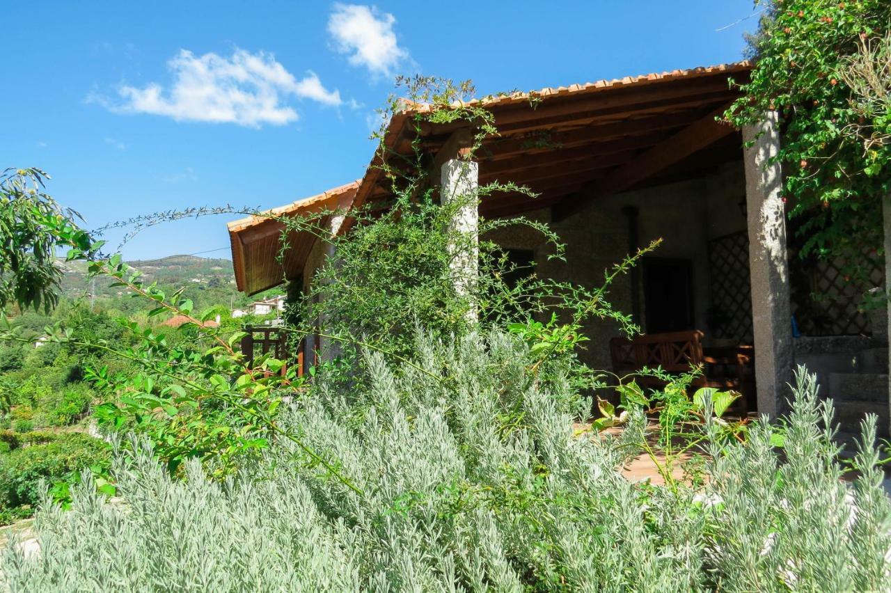 Casa Da Mouta - Douro Valley Baião Eksteriør billede